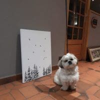 20251203_110623000_iOS