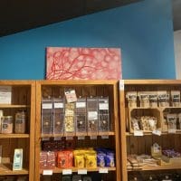 2026-01-28 17.41.40 (1)