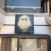 20260407_110457035_iOS